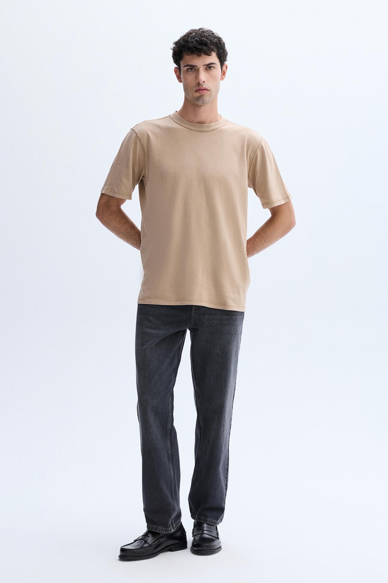 Erkek Vizon Rengi Relax Fit Bisiklet Yaka T-Shirt
