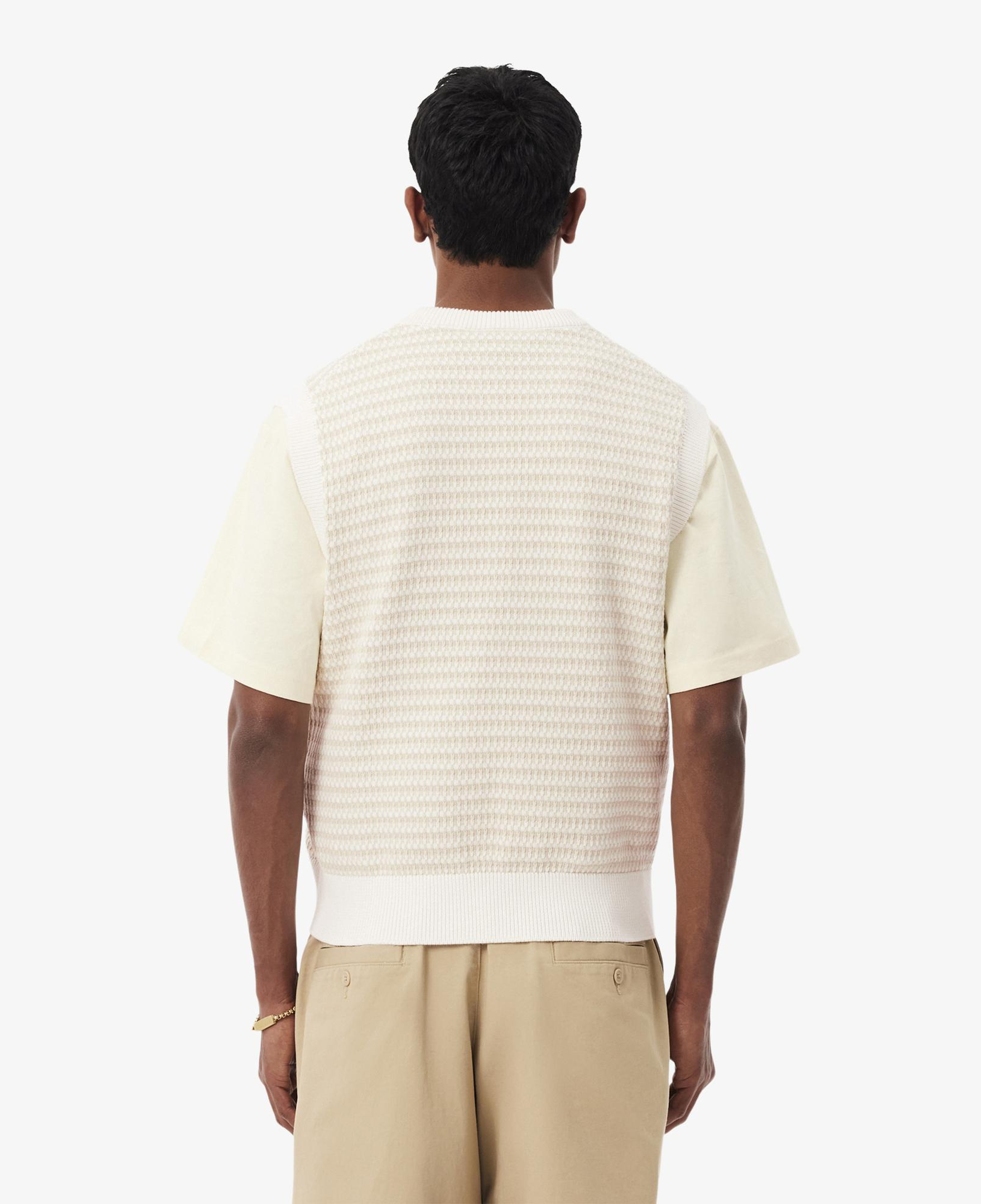 Erkek Classic Fit V Yaka Krem Süveter