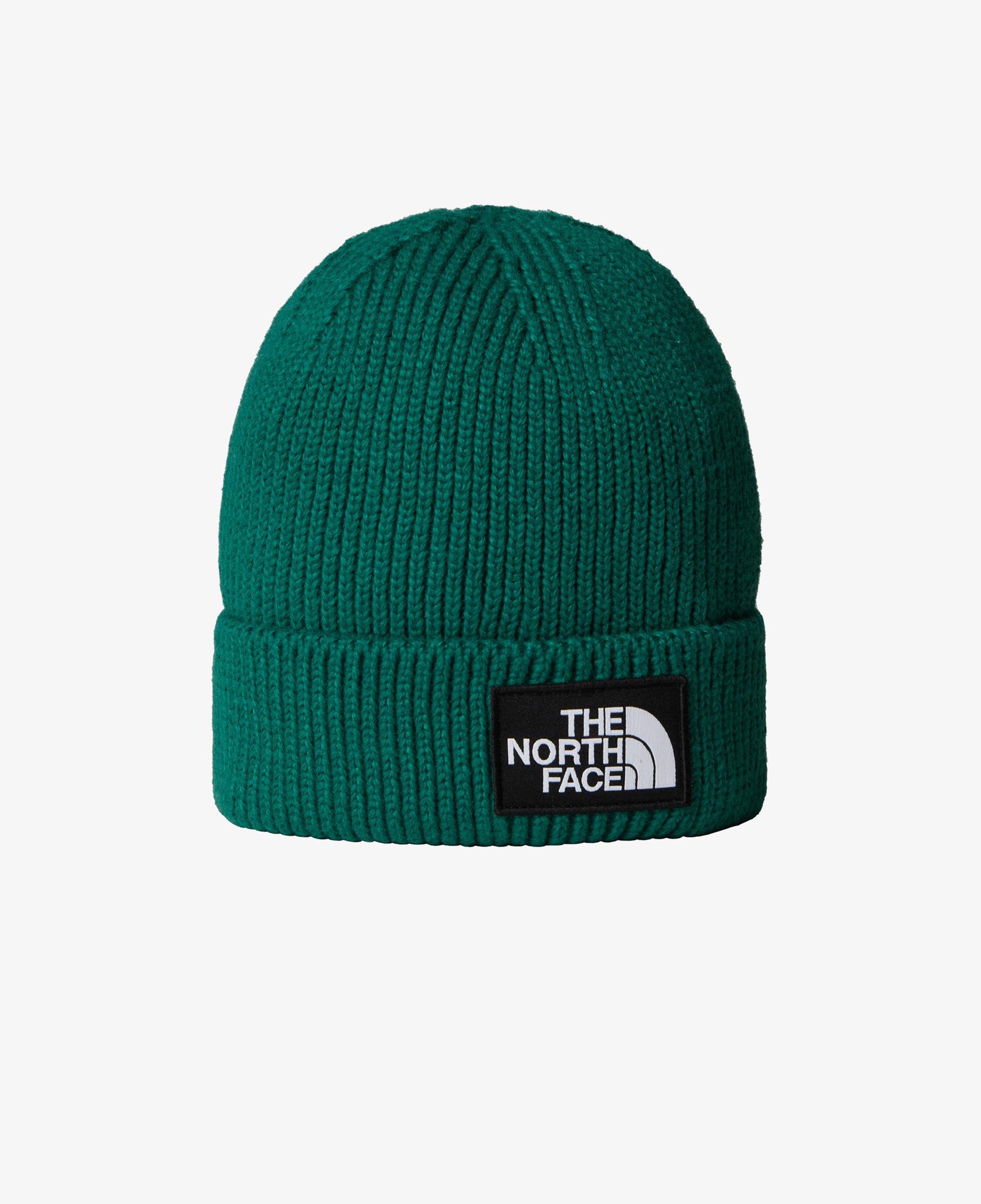 The North Face Logo Box Cuffed Unisex Yeşil Bere
