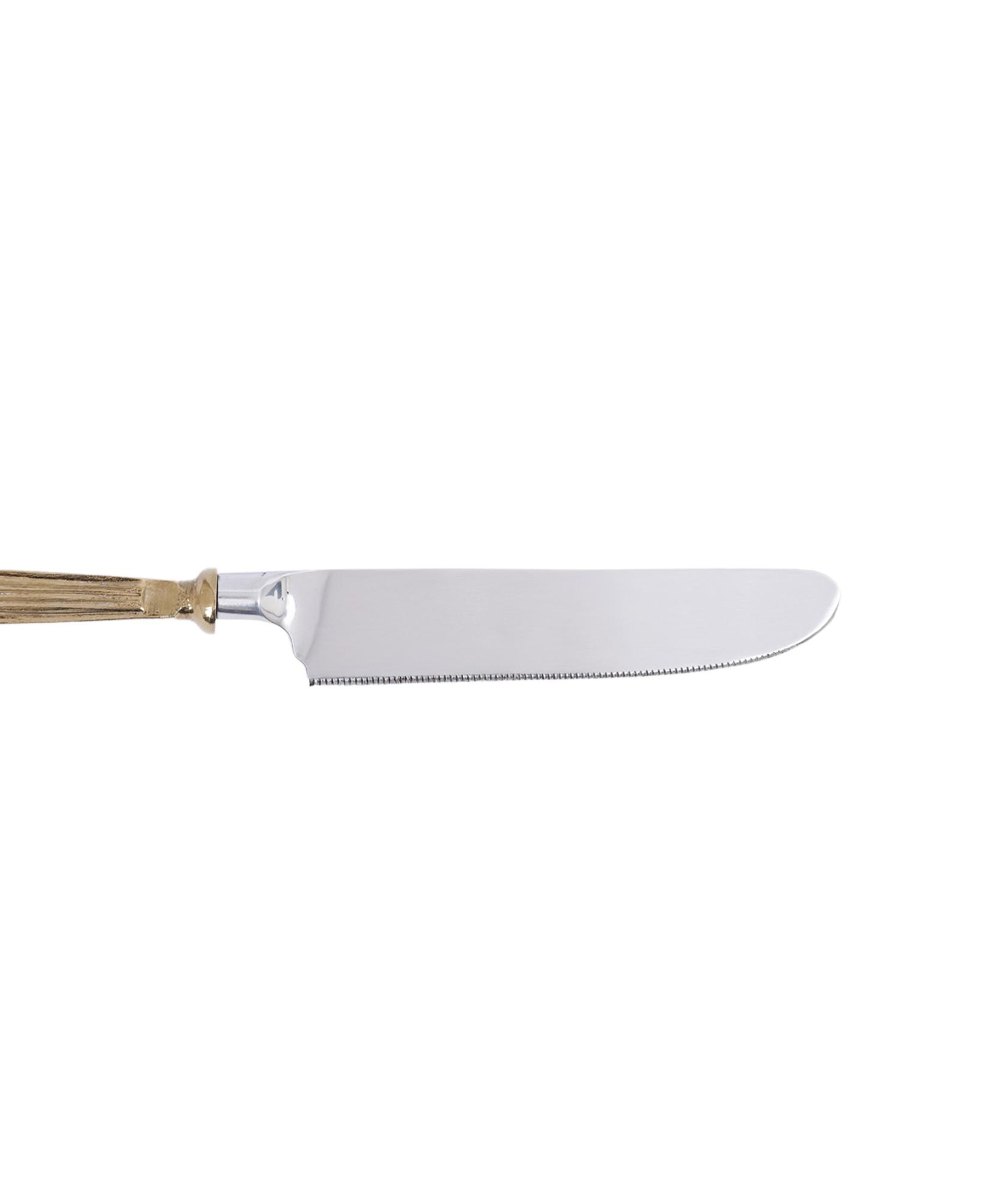 YARGICI Tatlı Bıçağı (20 cm)