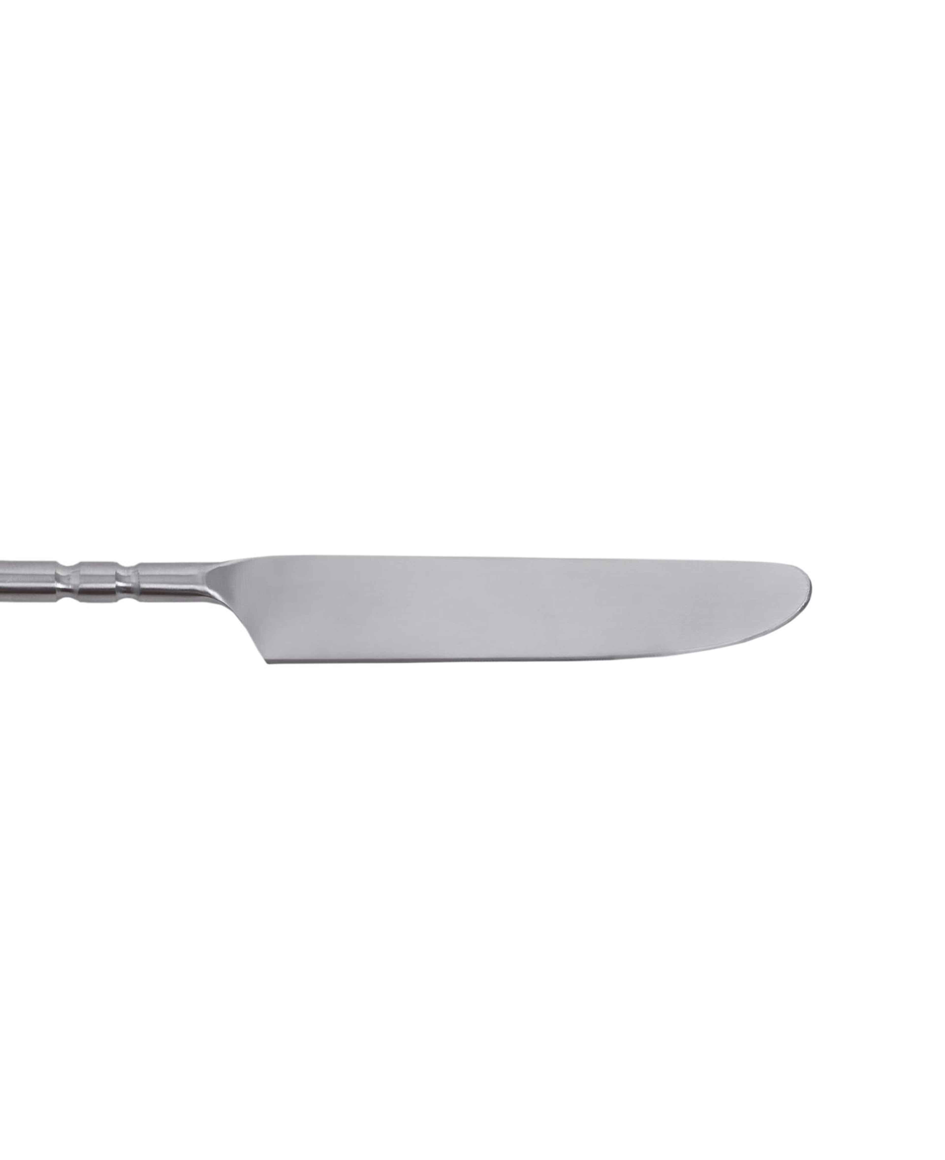 YARGICI Tatlı Bıçağı(20 Cm)