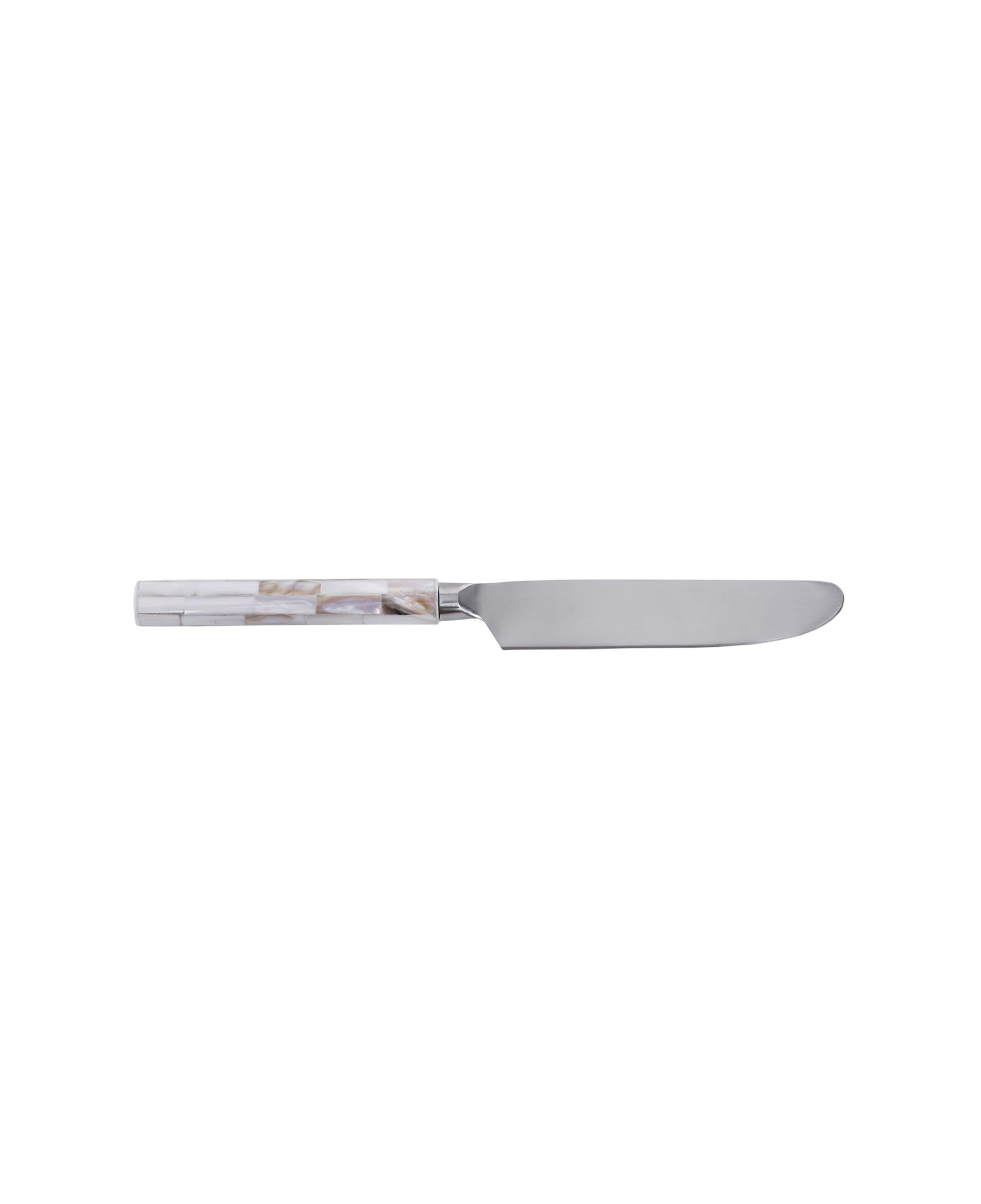 YARGICI Tatlı Bıçağı (20 Cm)