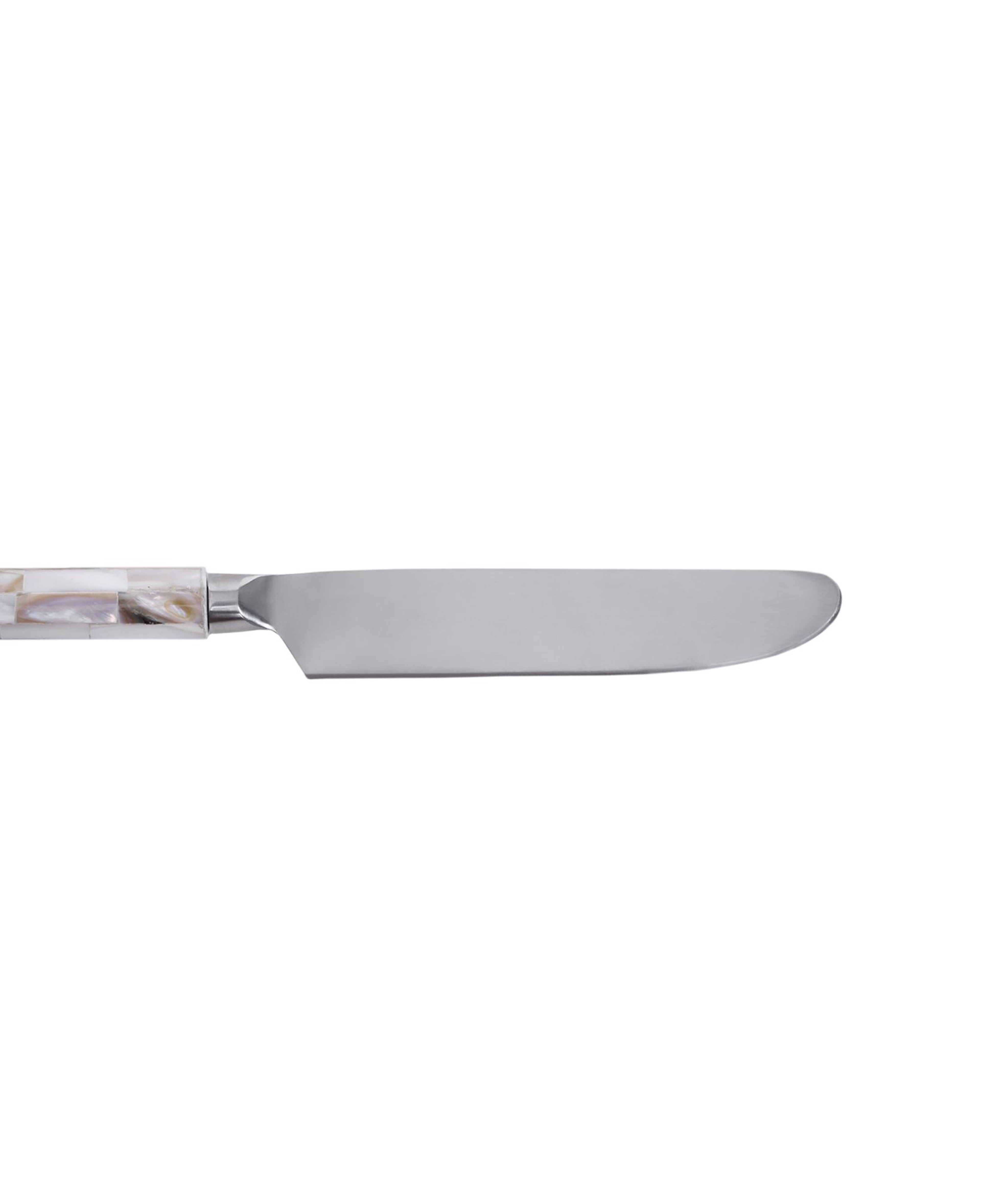 YARGICI Tatlı Bıçağı (20 Cm)