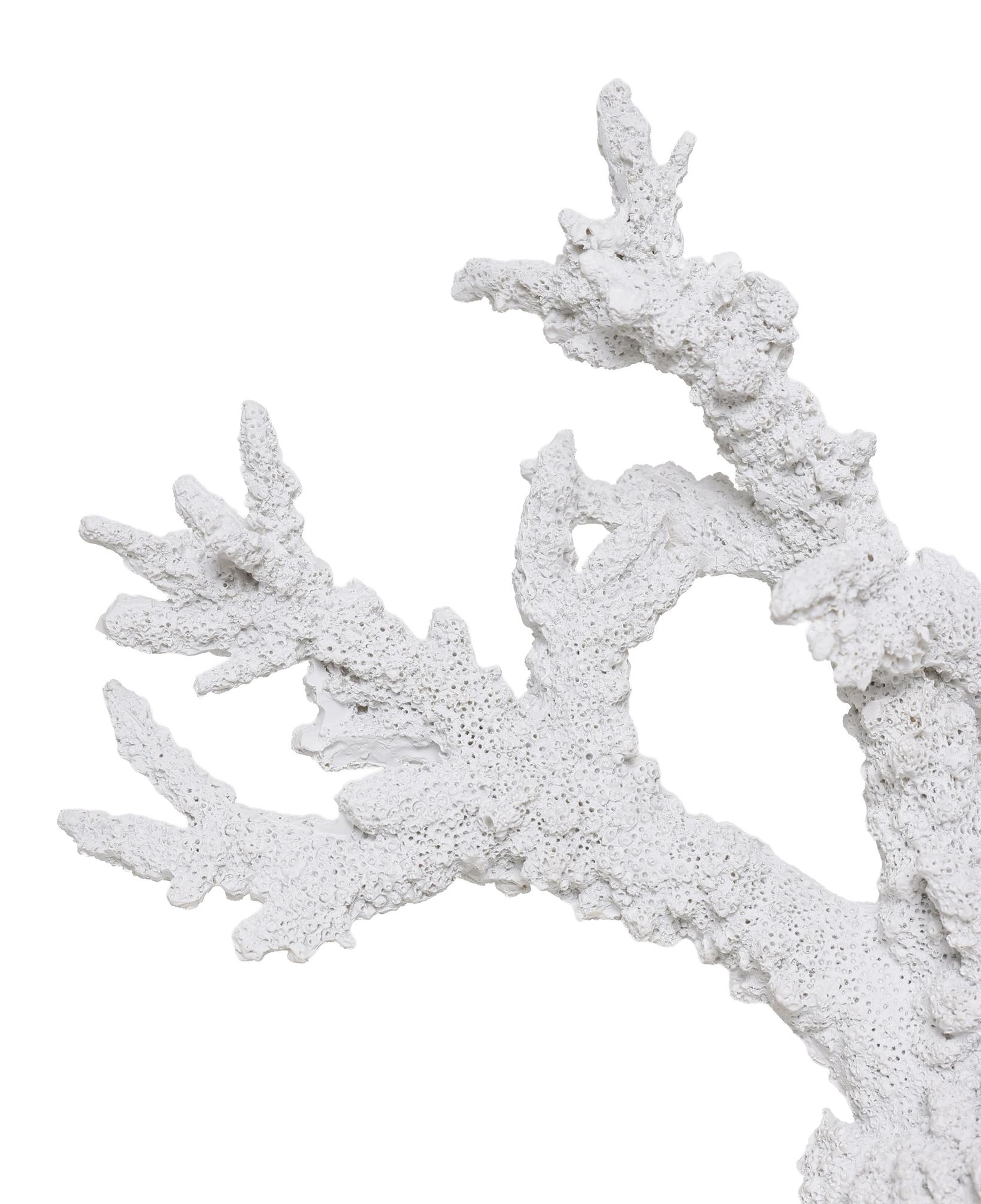 YARGICI Mercan Formlu Akrilik Tabanlı Poliresin Obje(10x38x26 Cm)