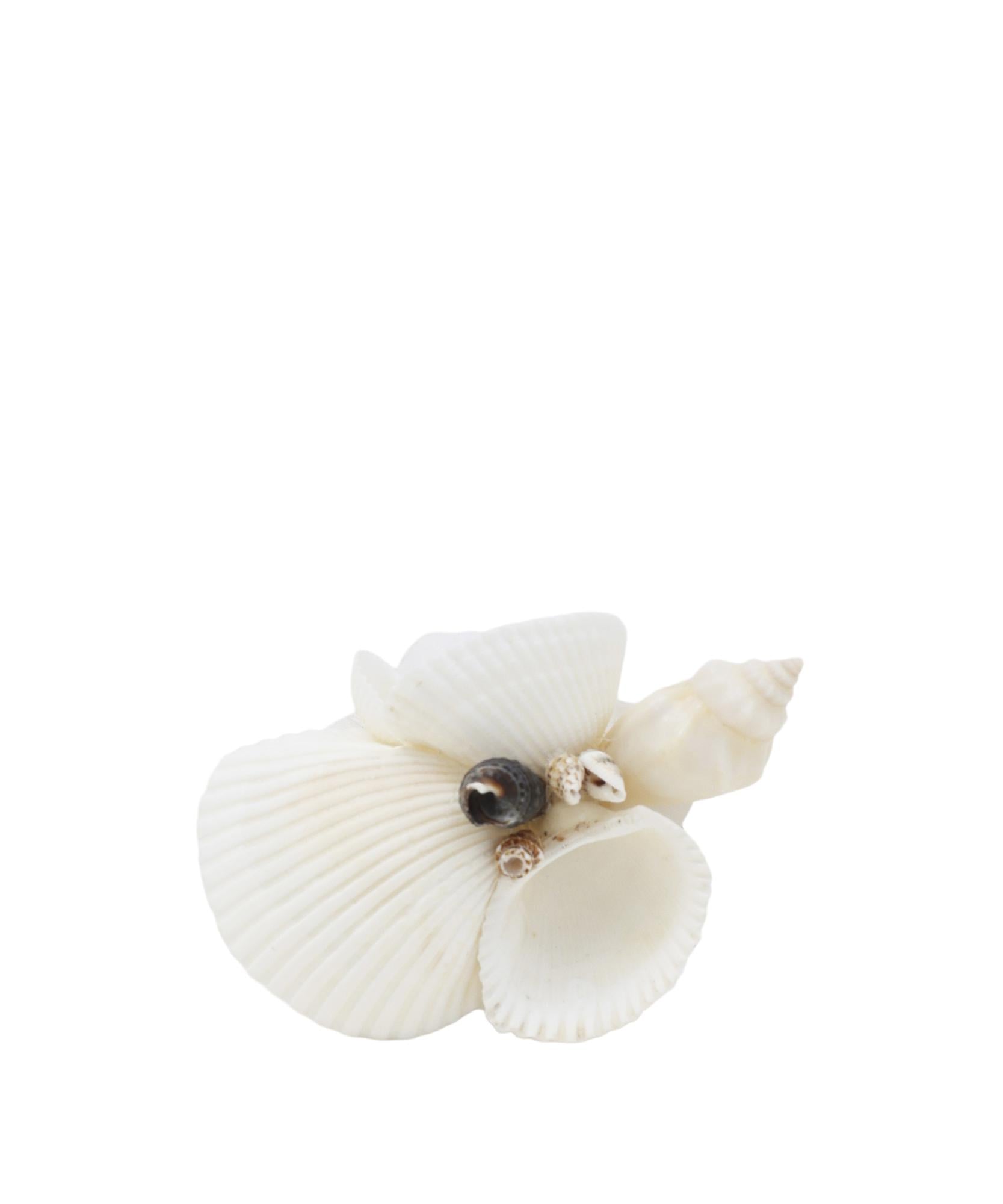 YARGICI Deniz Kabuğu Ve Ahşap Detaylı Peçete Halkası(5x9 Cm)