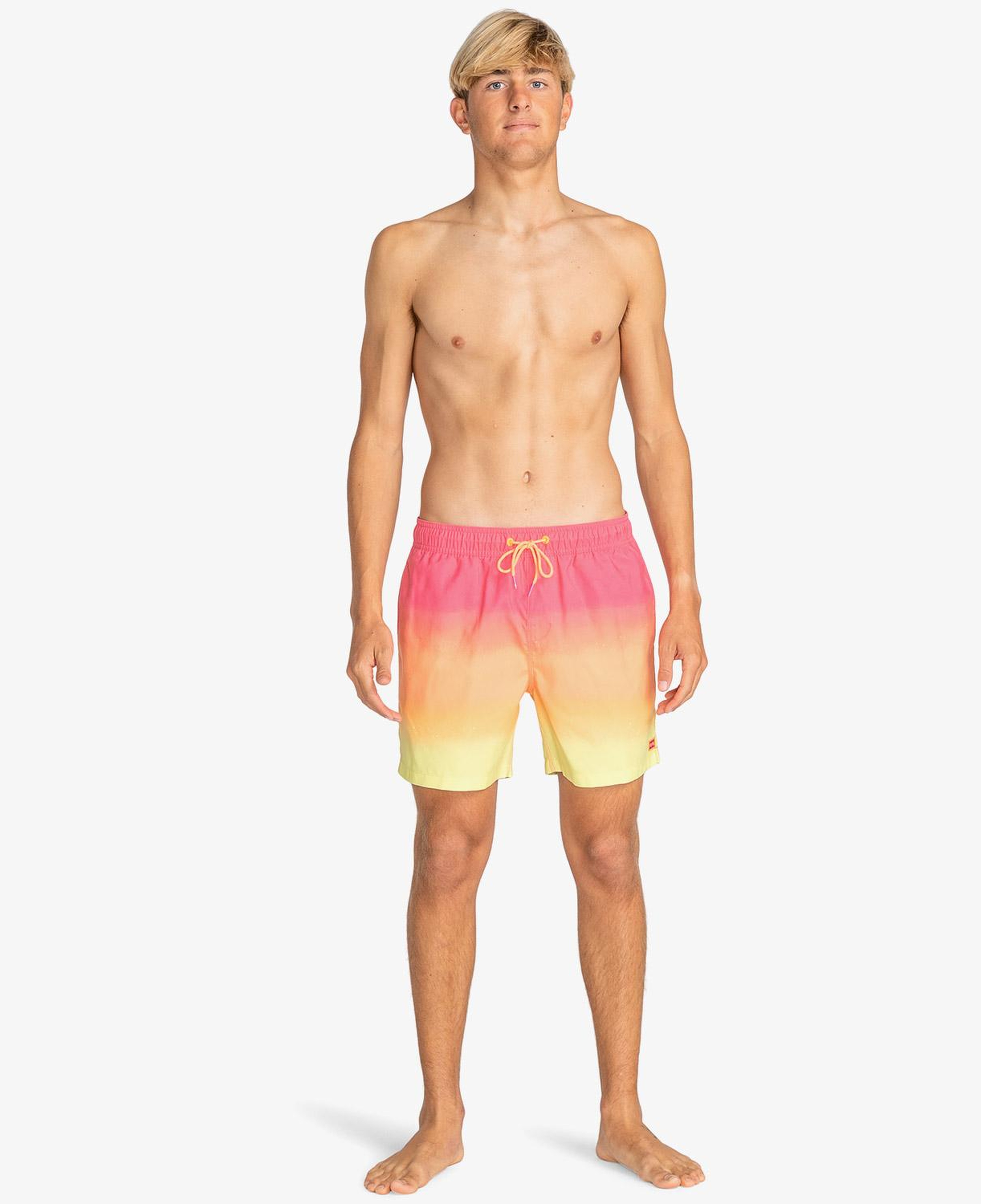 Billabong All Day Fade Erkek Pembe Deniz Şortu