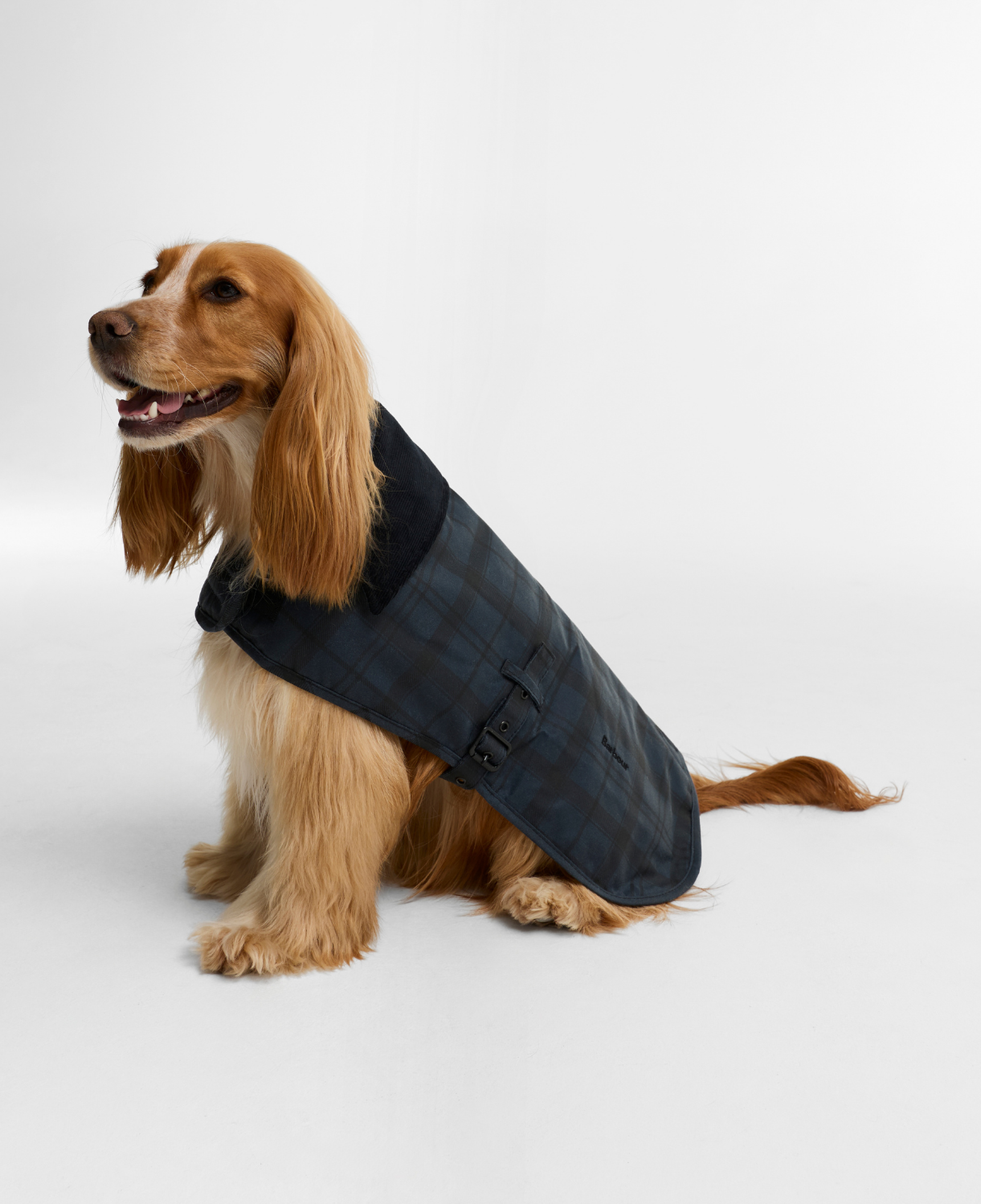 Barbour Ambleside Yağlı Köpek Montu