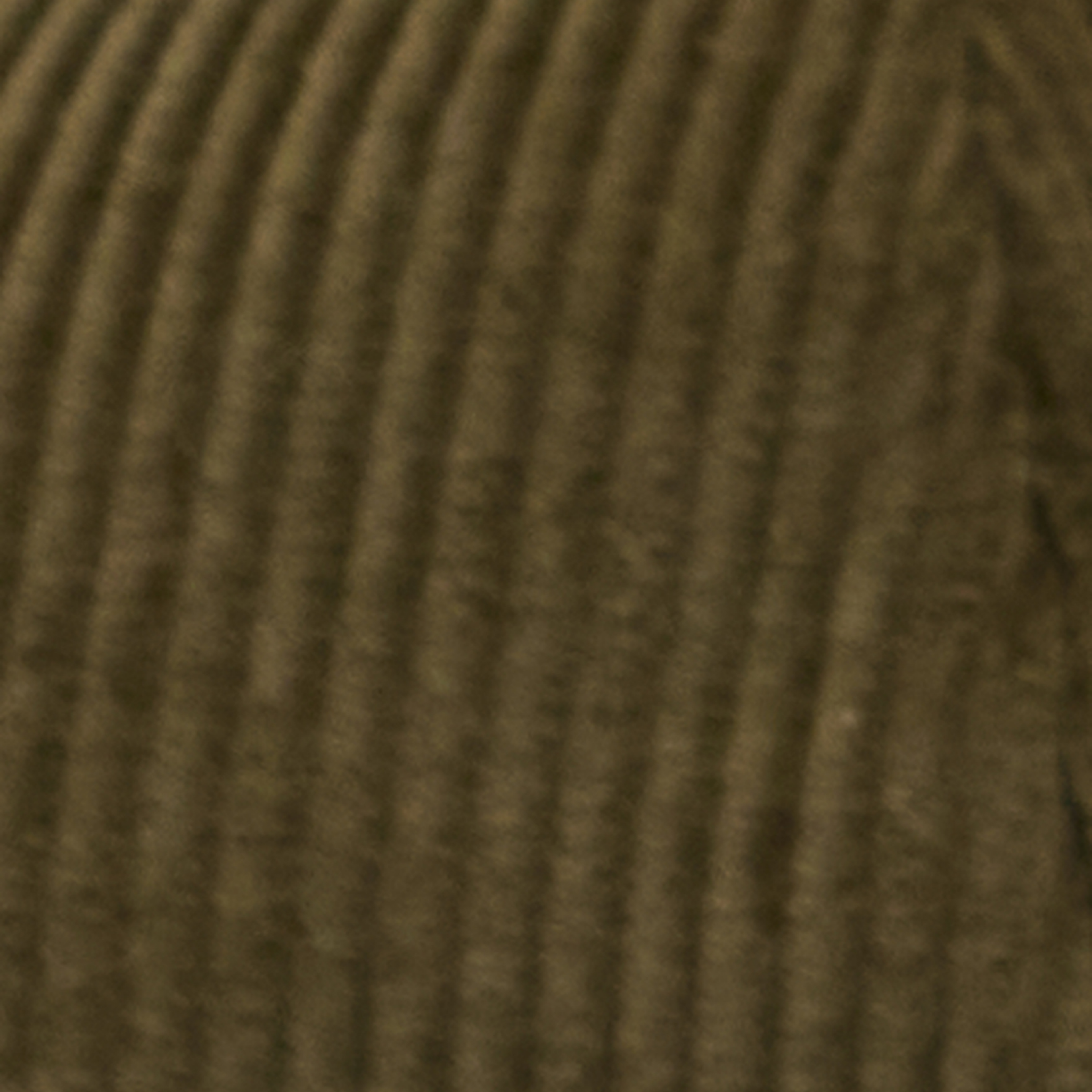 Barbour Westdale Bakerboy Şapka