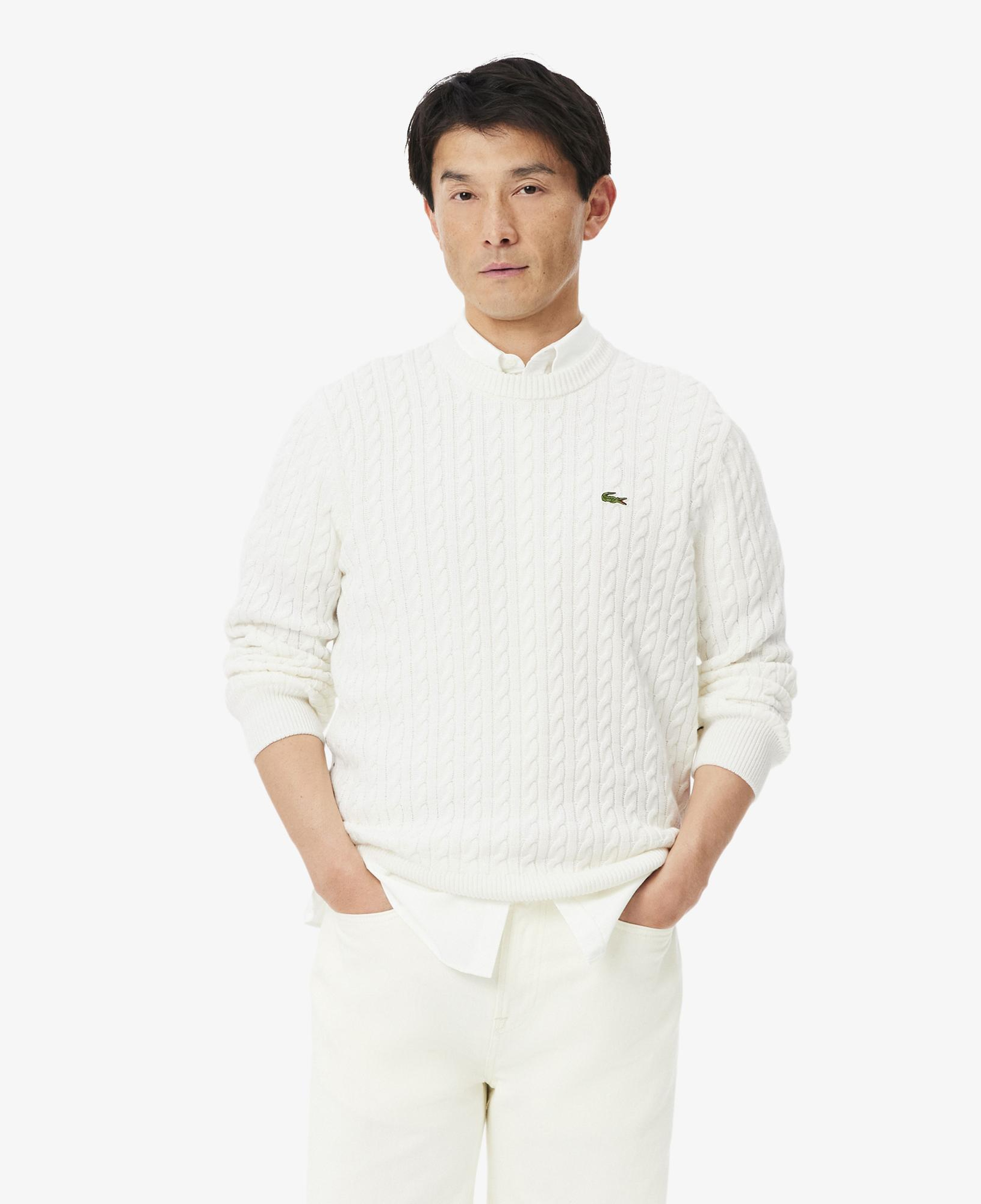Erkek Regular Fit Bisiklet Yaka Krem Kazak