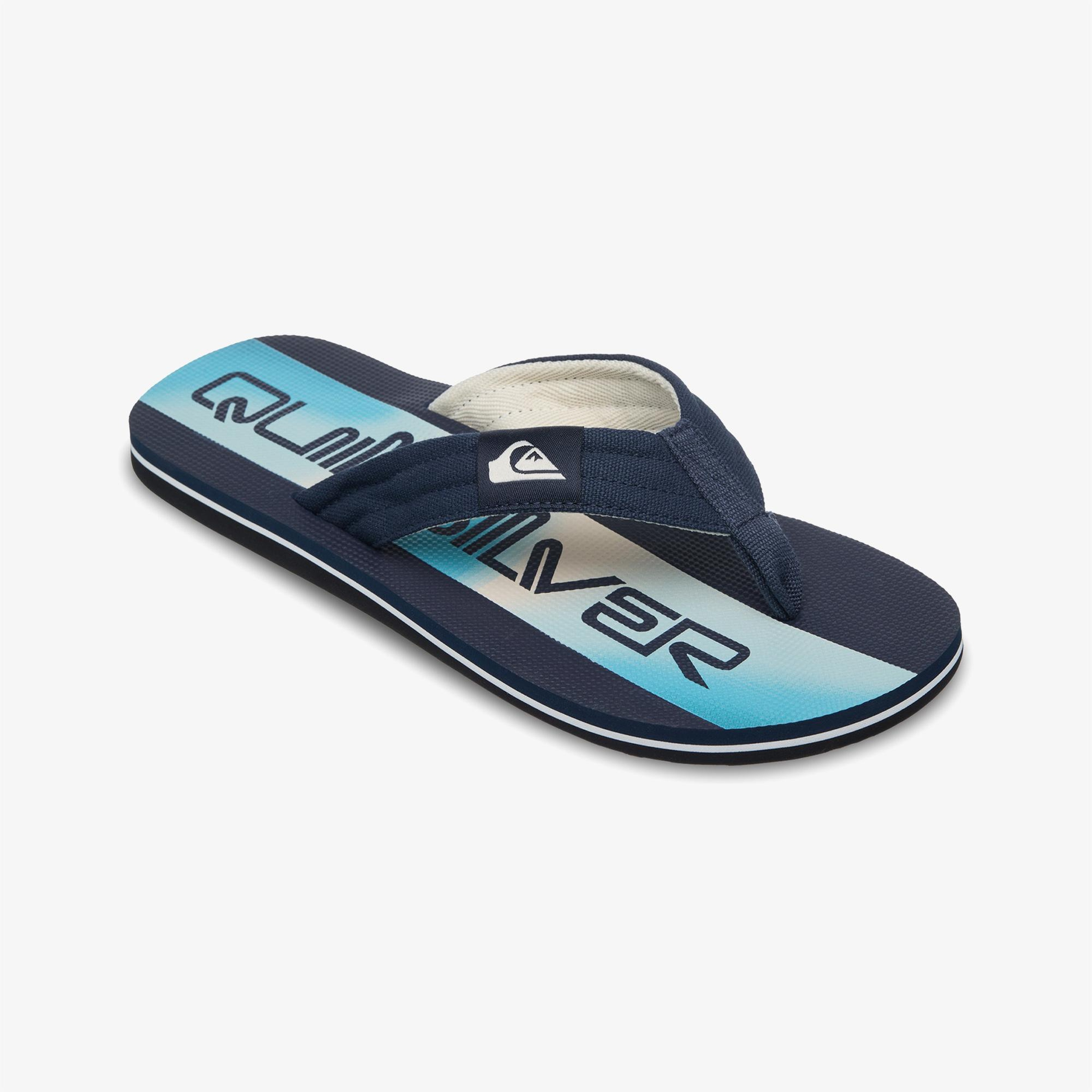Quiksilver Molokai Layback Erkek Siyah Terlik
