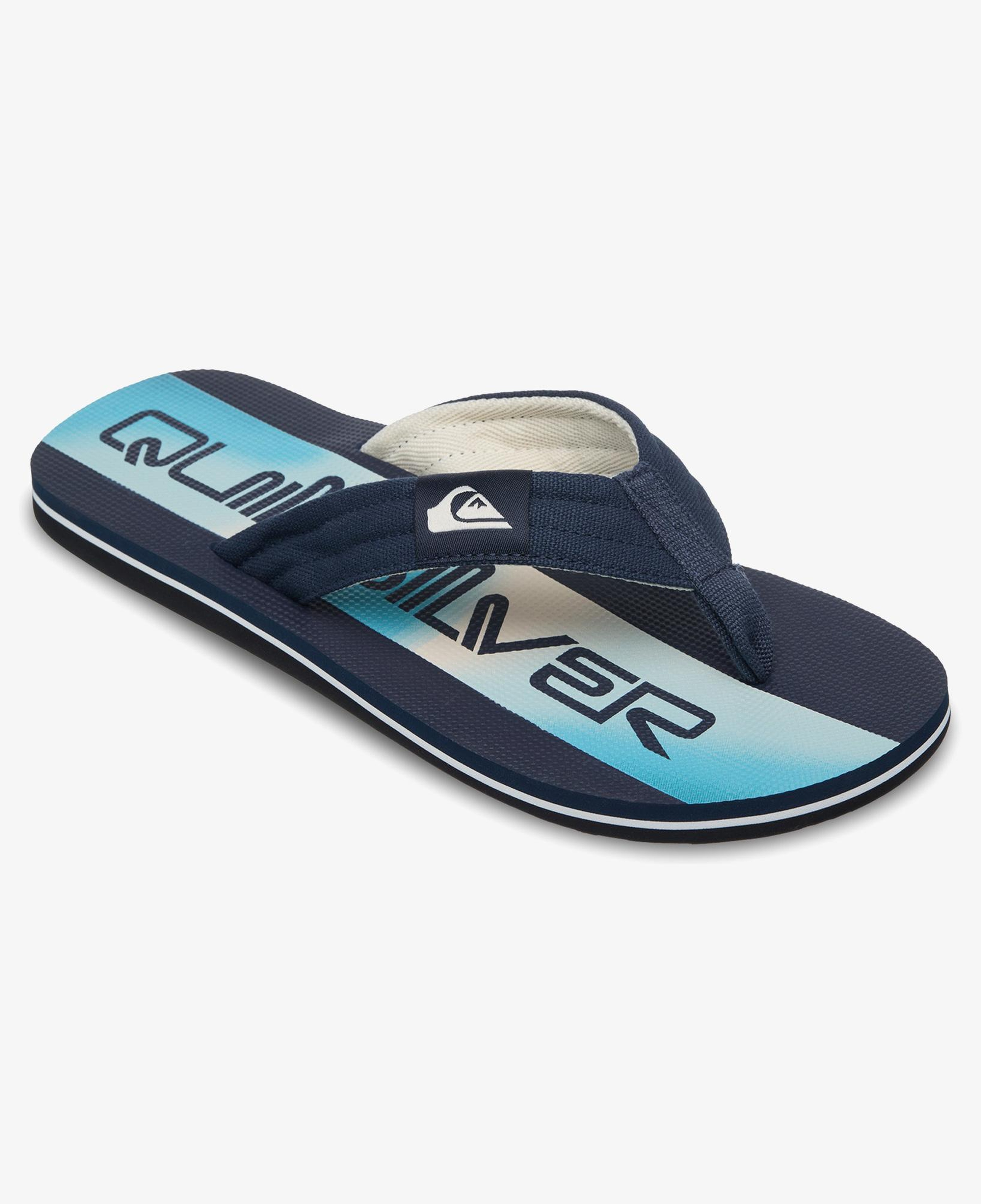 Quiksilver Molokai Layback Erkek Siyah Terlik