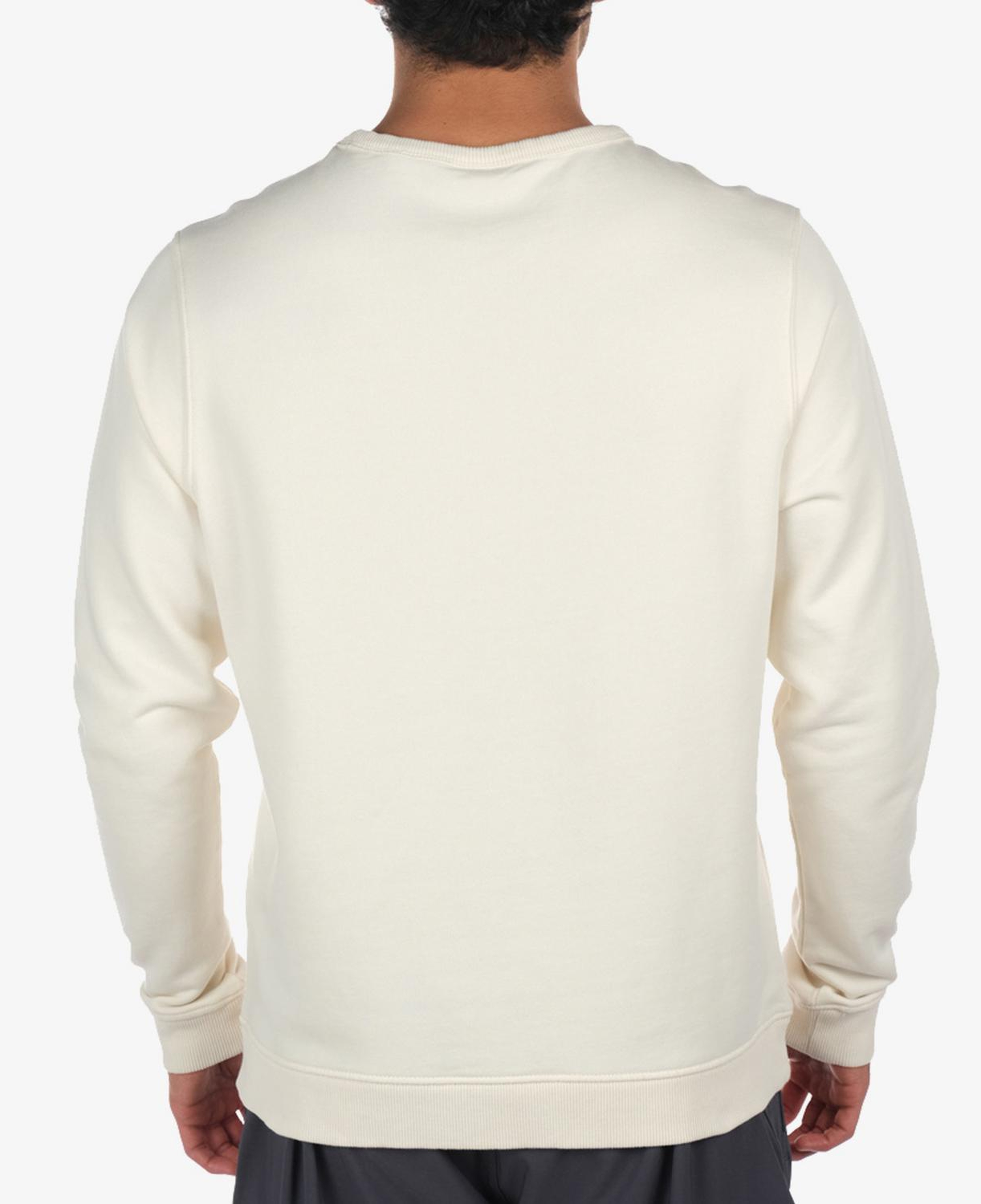 Columbia CSC Basic Crew Erkek Krem Günlük Sweatshirt