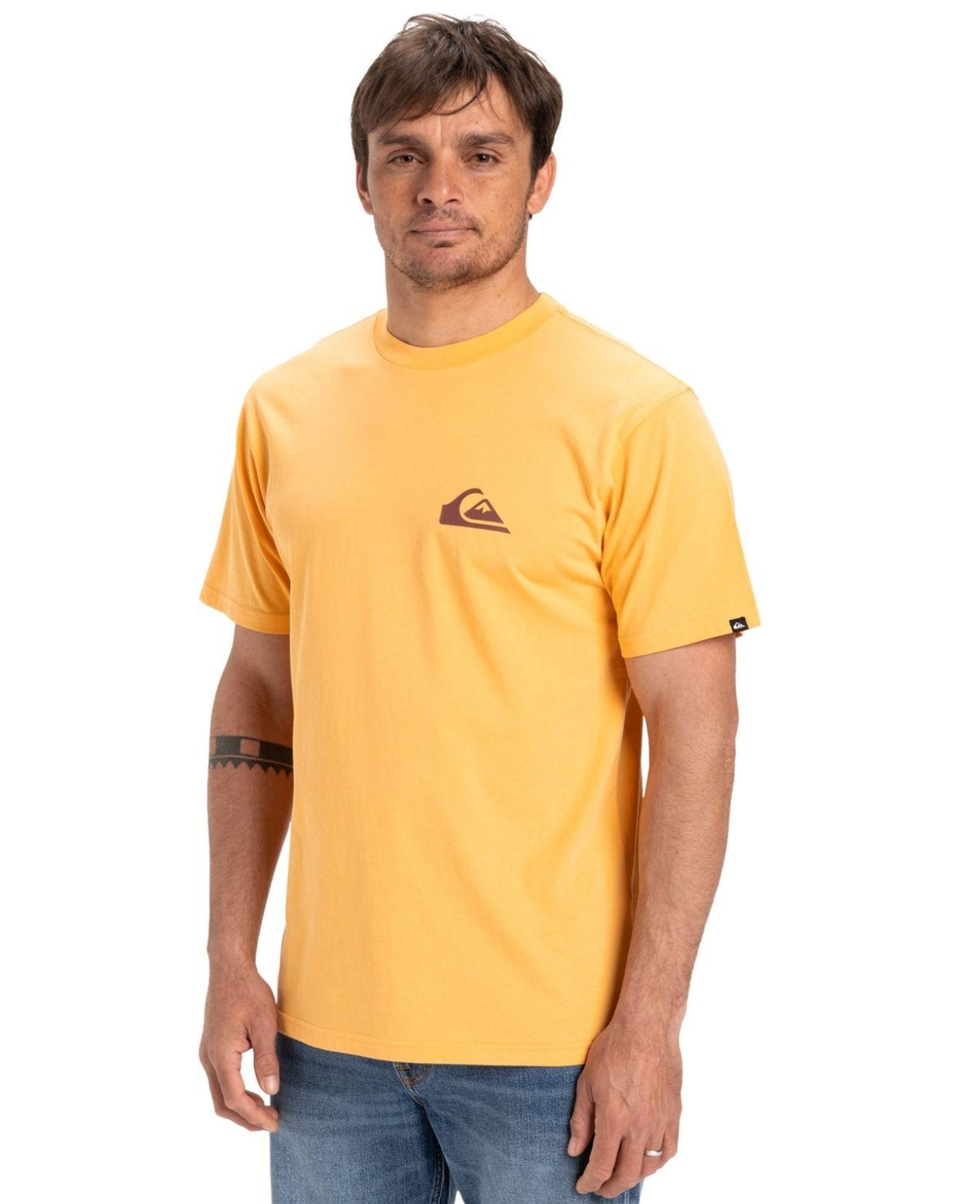 Quiksilver Ev Mini Logo Erkek Tişört