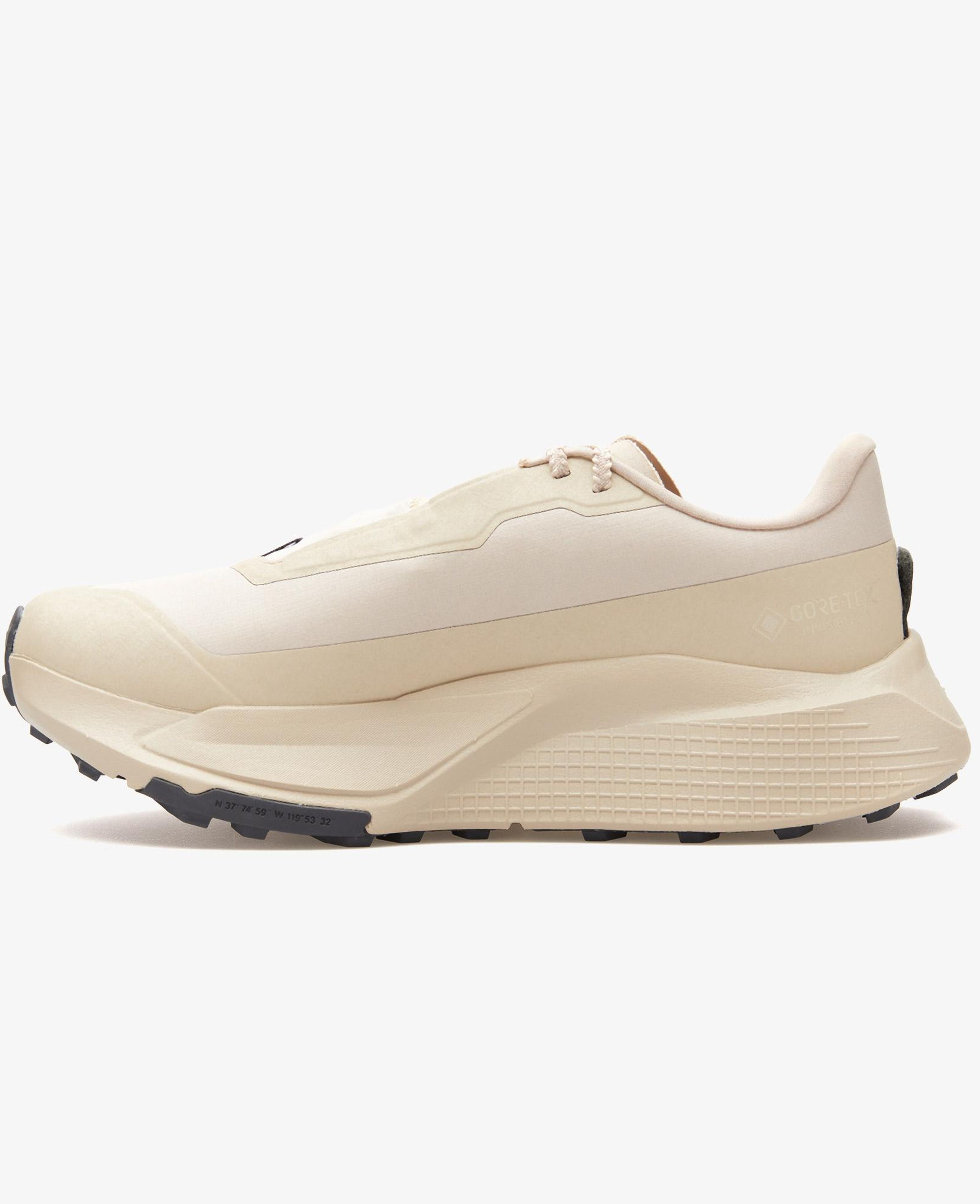 The North Face Altamesa 500 V2 Gore-Tex Erkek Gri Spor Ayakkabı