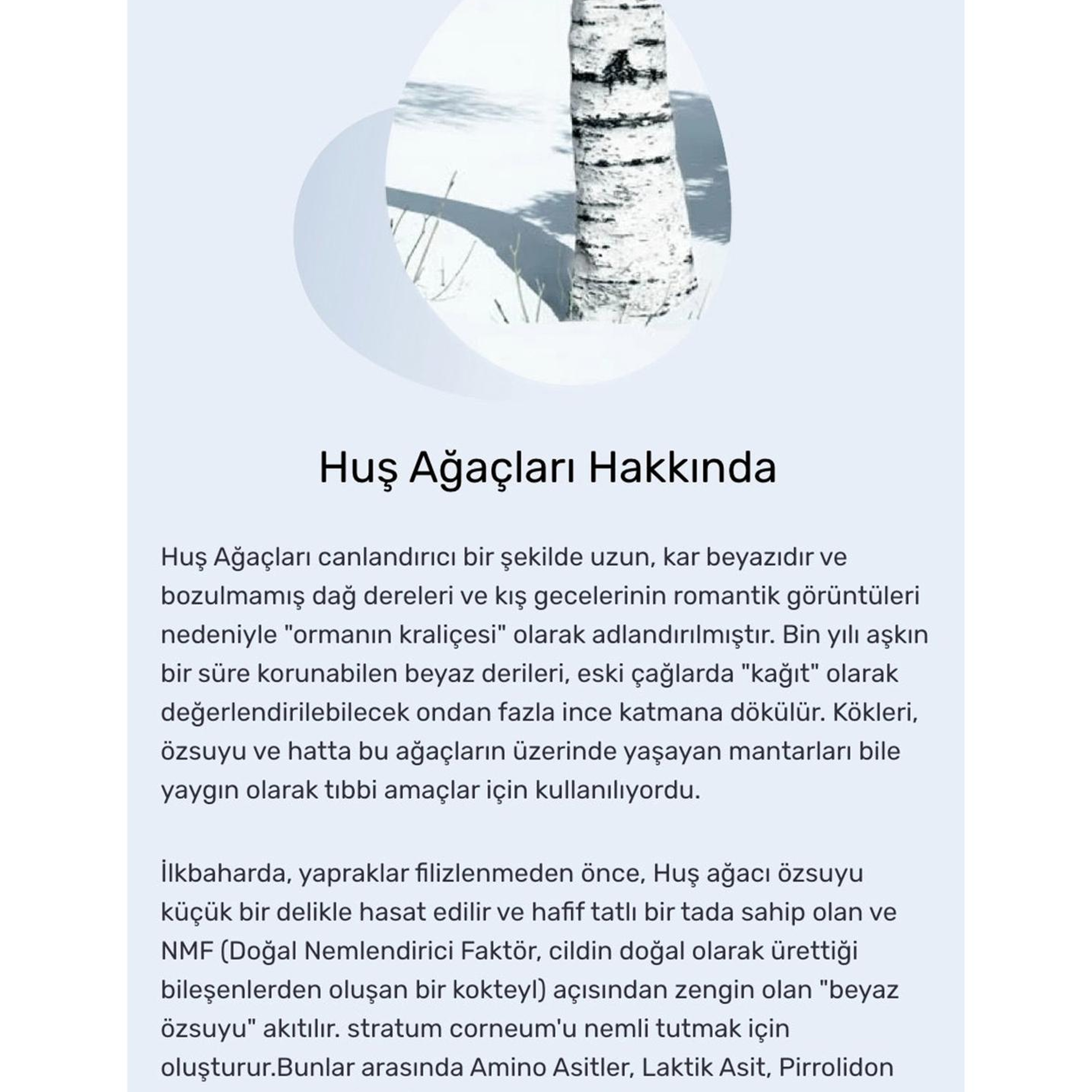 Round Lab Birch Juice Moisturizing Cleanser Ölü Deri Giderici Cilt pH Uyumlu Huş ve Mugwort Özlü Temizleyici 150 ml
